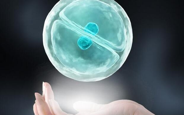 成都试管婴儿医院新途径，告别盲目选择困扰（内附最新试管成功率）