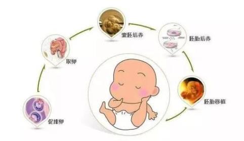 成都试管婴儿成功率领先医院一览，蓉城高成功率试管医院哪家强？（三代试管生殖中心推荐）